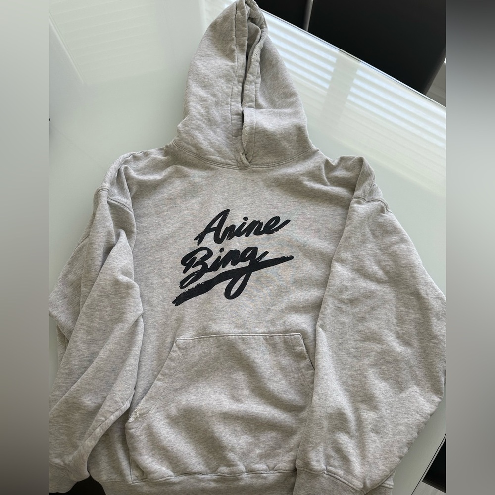 annie bing hooded sweatshirt